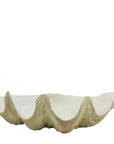 Bellamy Clam Shell Sculpture Tray